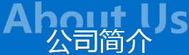 公司介绍